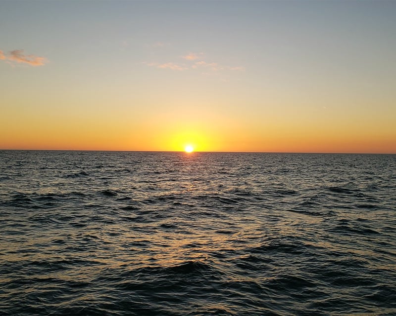 Sand Dollar Island Dolphin & Sunset Cruise From St. Pete