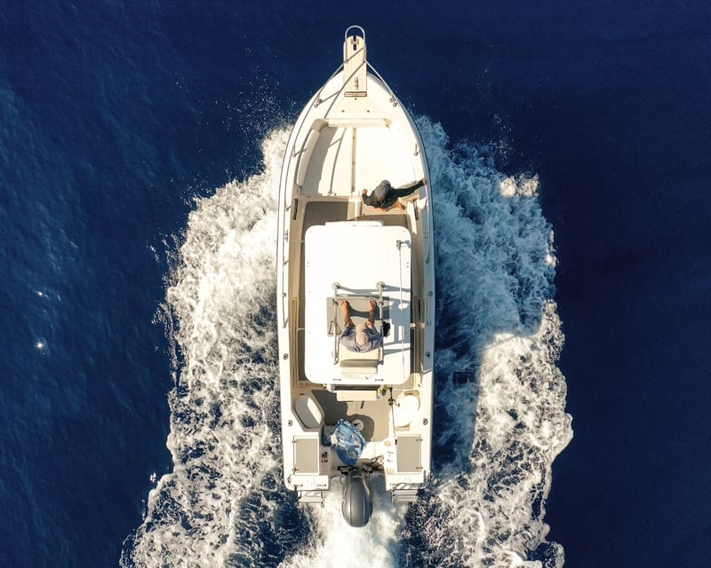 Afternoon Whale-Watching Charter on Kona Coast