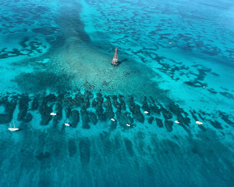 Islamorada Reef Snorkeling & Sandbar Boat Trip