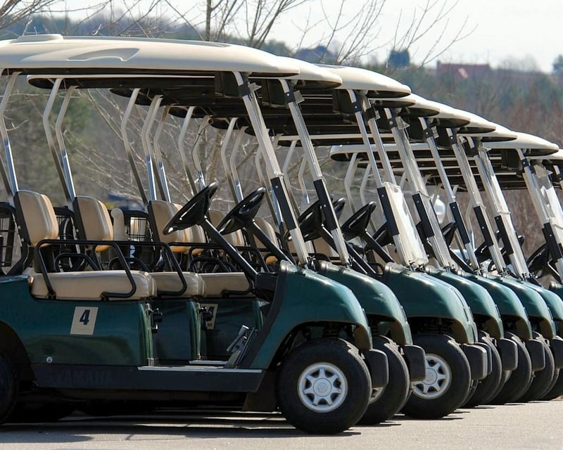 Golf Cart Rental at Ozark Outdoors in Leasburg