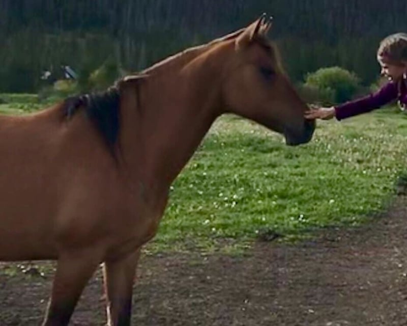 30-Minute Pony Ride in Grand Lake