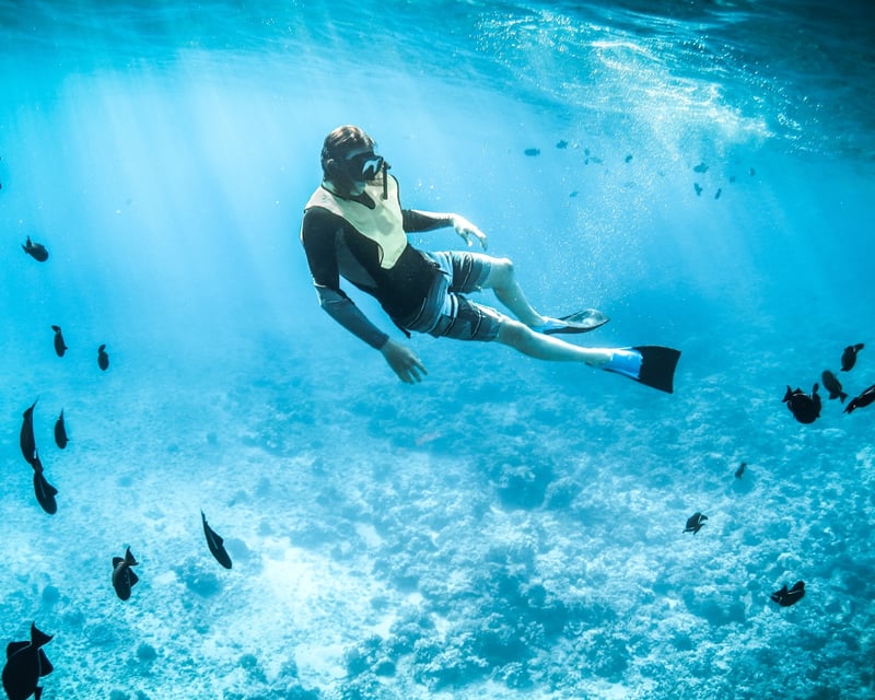 Private Fishing & Snorkeling Charter in Key West