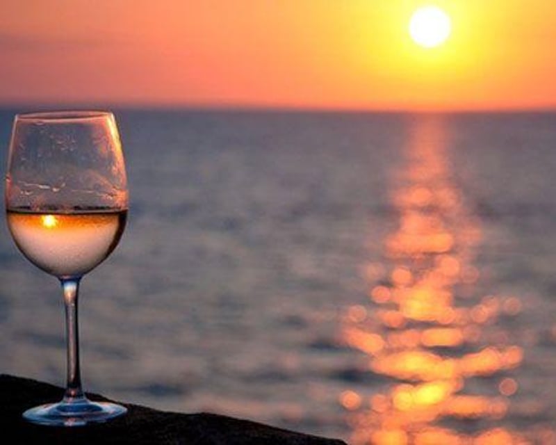 Tour Southern Delaware Wineries & Lavender Garden