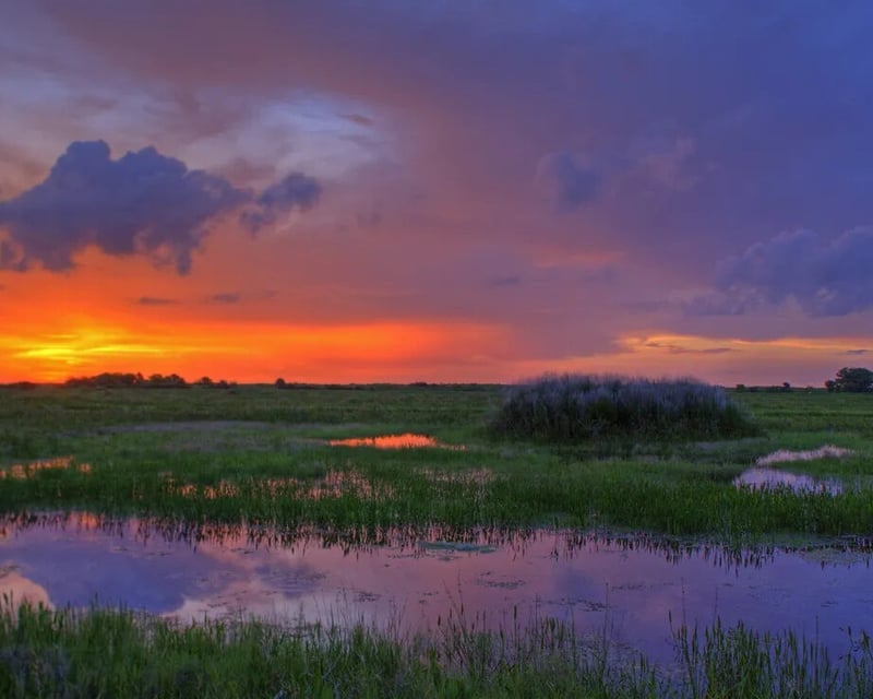 Private Bass Fishing Charter on Lake Okeechobee