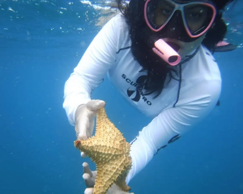 Full-Day Culebra Snorkeling Tour
