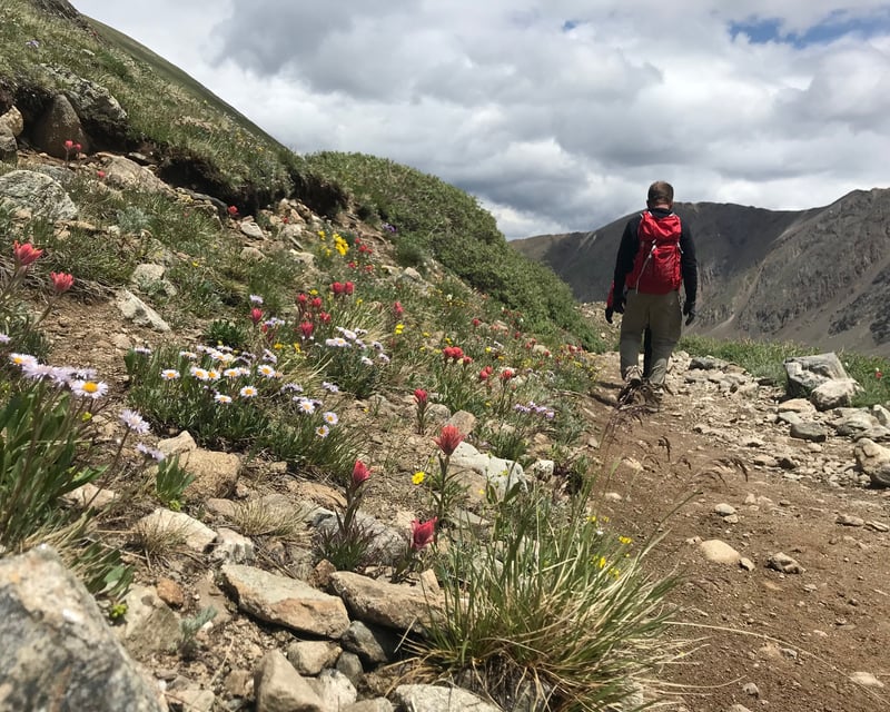 Full-Day Guided Hiking Tour in Silverthorne