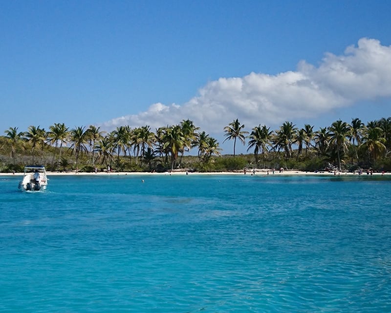 Manchones Reef Private Snorkeling Charter