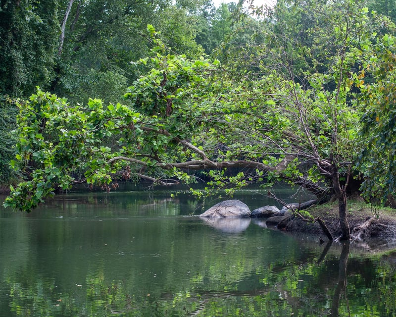 Guided Ocmulgee River Kayak & Canoe Trip in Juliette, GA