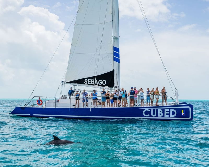 Sunset Dolphin Watch Sail in Key West