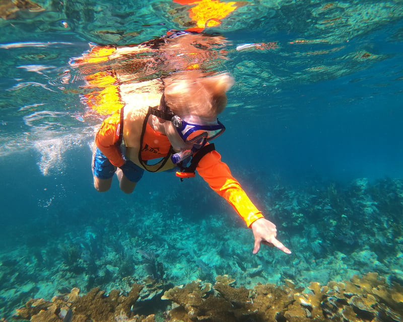 Key Largo Fish Identification Snorkel Tour