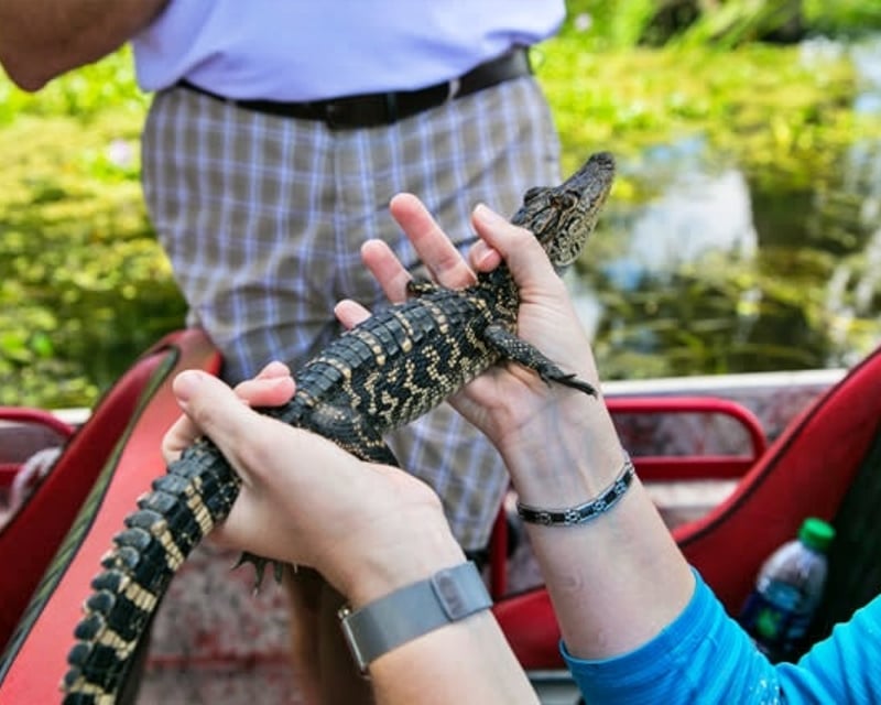 Private New Orleans City, Airboat Swamp & Plantation Tour