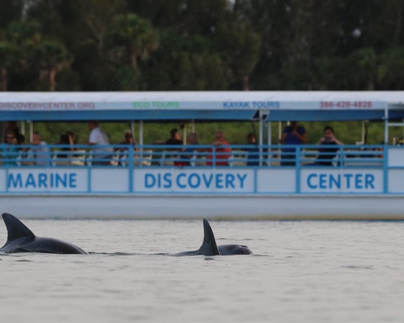 2-Hour Indian River Lagoon Nature Cruise