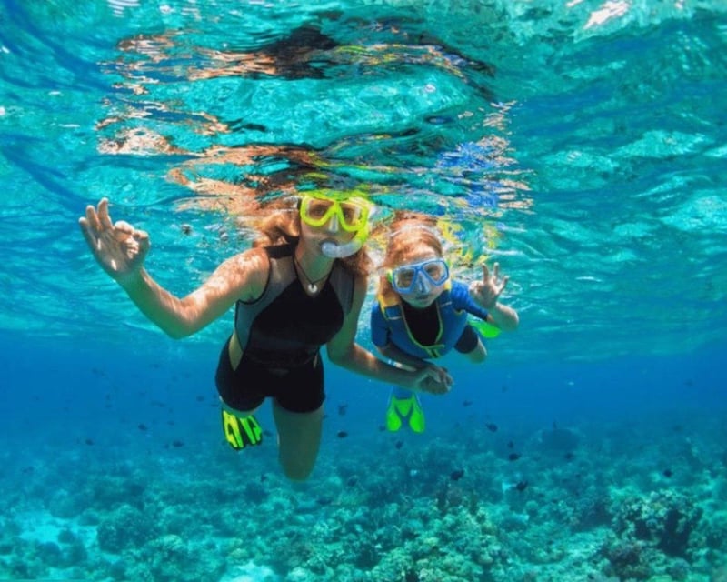 Guided Snorkeling Boat Tour in Siesta Key
