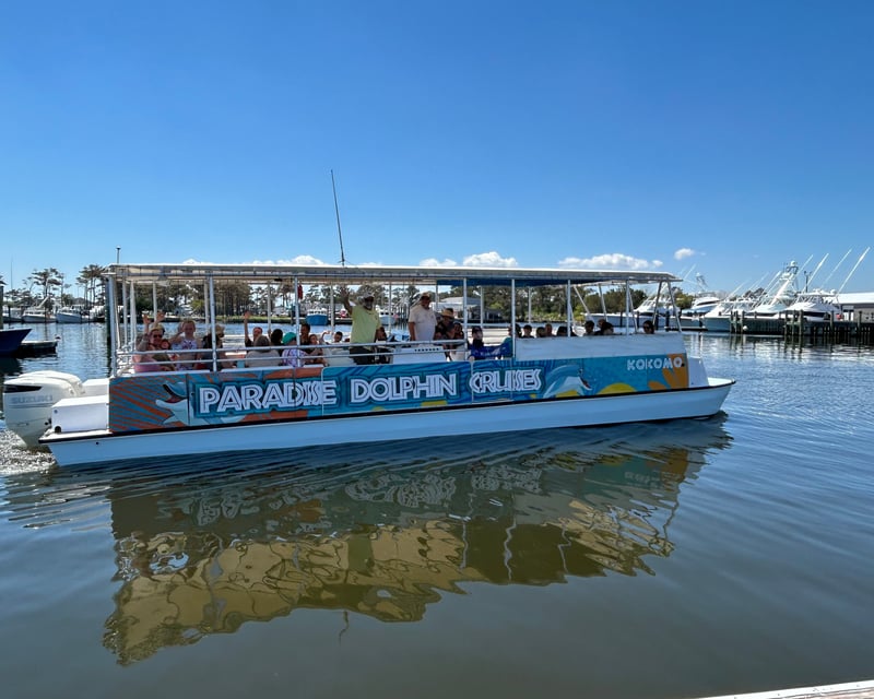 Explore Outer Banks On a 2-Hour Dolphin Cruise