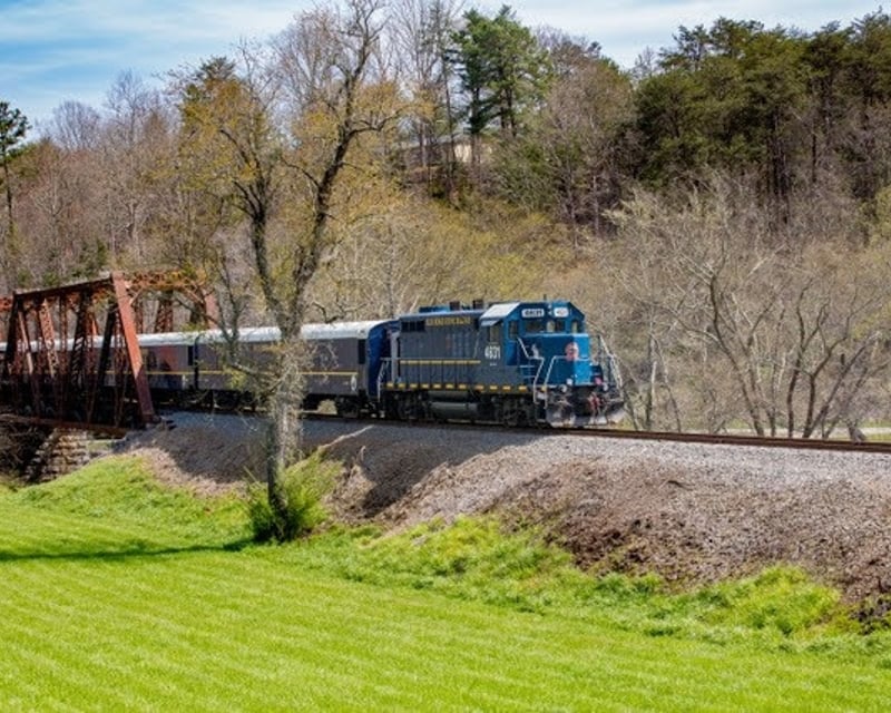 Premier Coach Toccoa River Train Ride in Blue Ridge