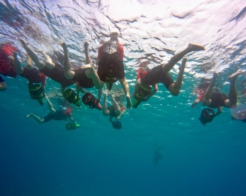 Sea Scooter Snorkel Tour in Lahaina