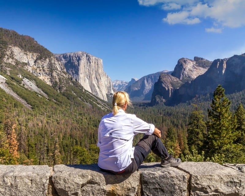 Yosemite Giant Sequoias Tour From San Francisco