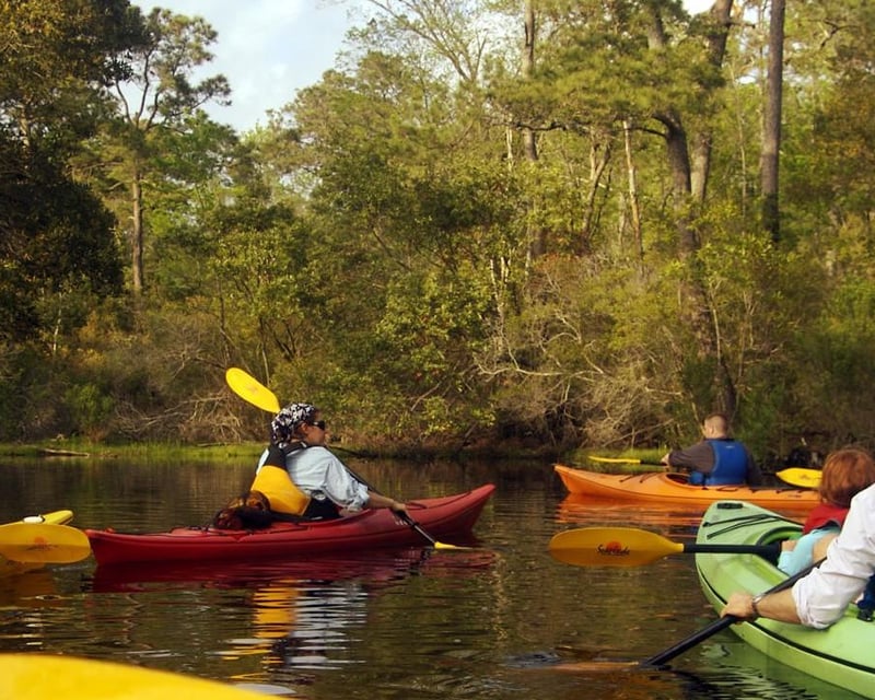 Alligator River National Wildlife Refuge 2-Hour Kayak Tour
