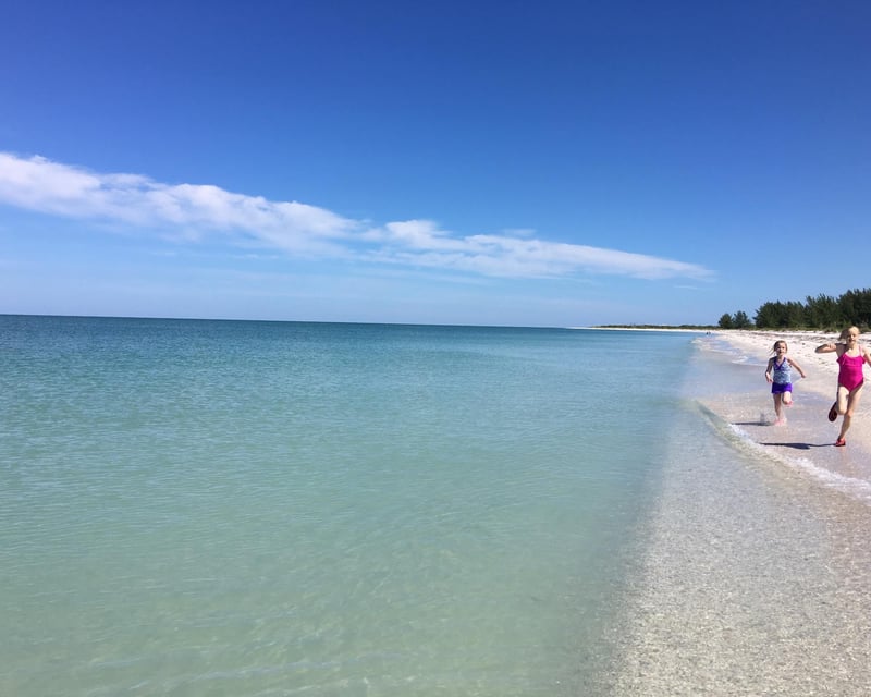 Cayo Costa Shelling Cruise