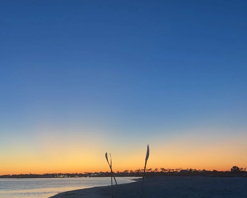 Clear Kayak Sunset & Crab Grab Tour in Orange Beach