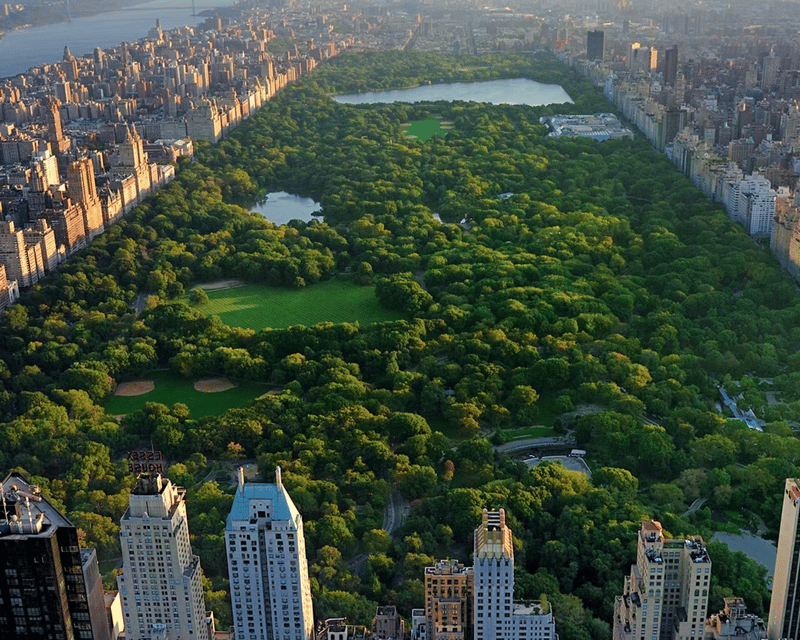 Central Park 2-Hour Private Pedicab Tour