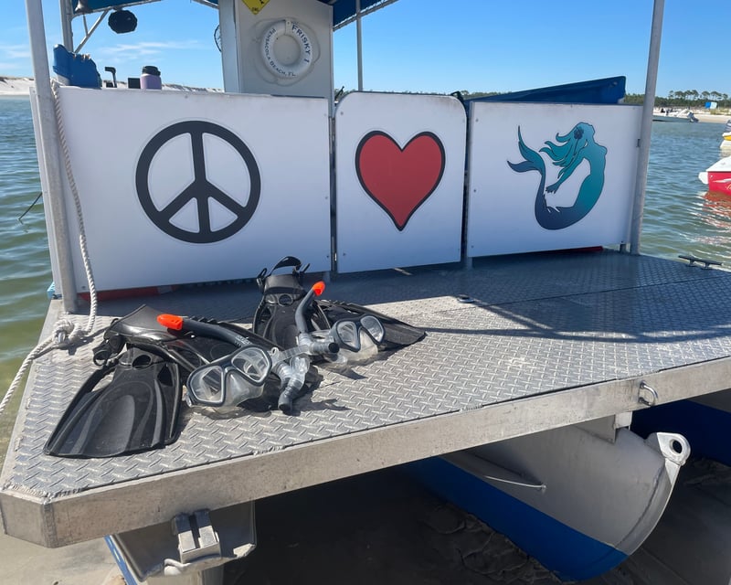 Artificial Reef Snorkel & Dolphin Cruise in Pensacola Beach