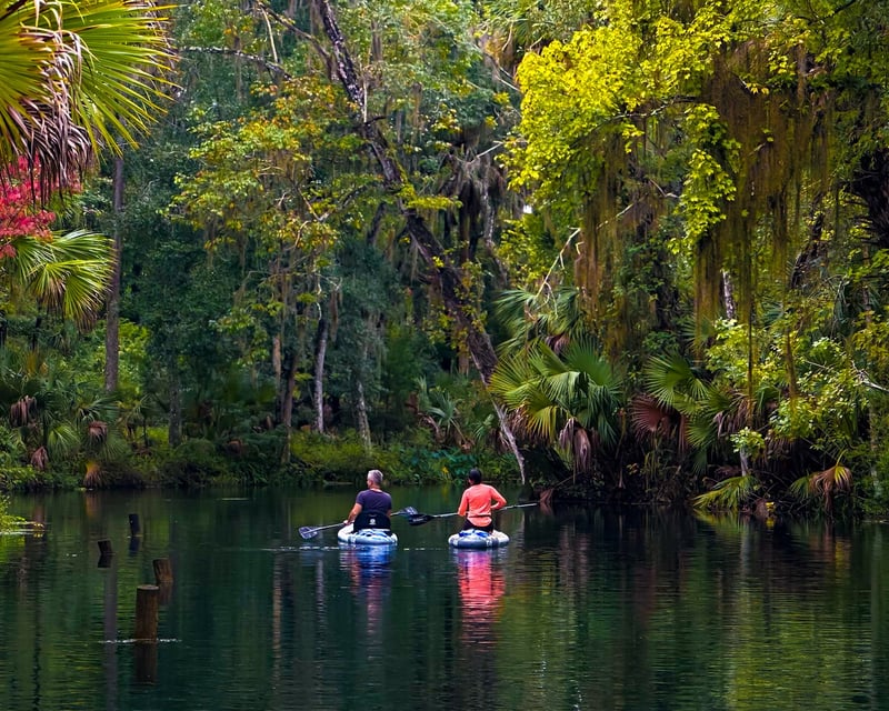 Silver Springs State Park 5-Mile Kayak & Paddleboard Tour