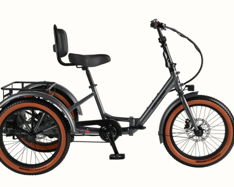Napa E-Trike Rental