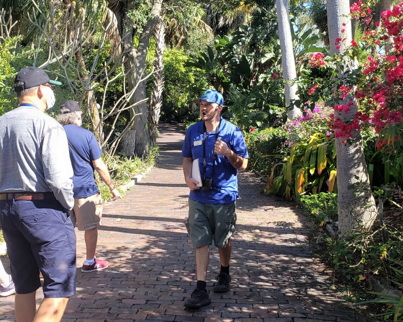 Guided Walking History Tour in St. Petersburg