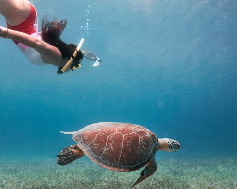Guided Culebra Island Snorkeling Tour