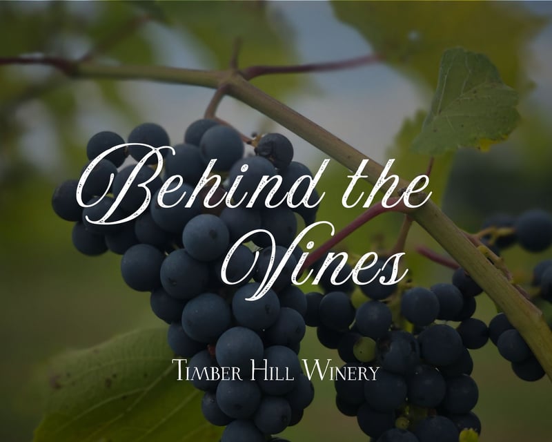 Guided Wine Tasting in Milton, WI With Charcuterie