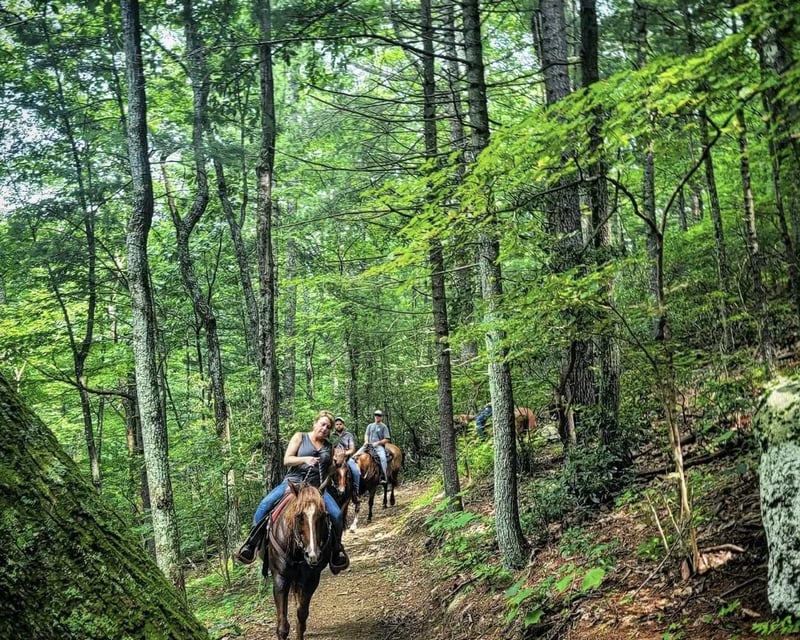Back Country Horseback Trail Ride Near Charlottesville