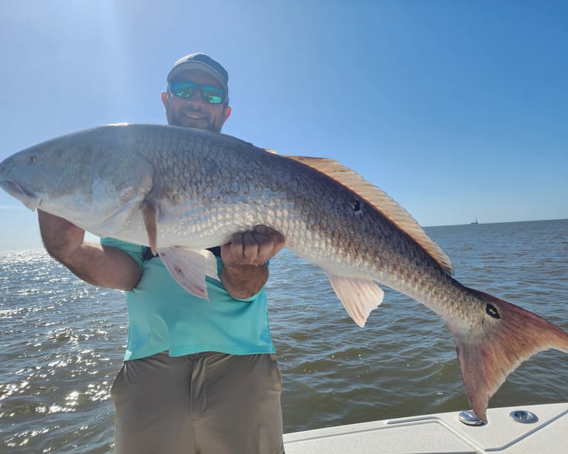 Full-Day Marsh Fishing Charter in Venice, LA