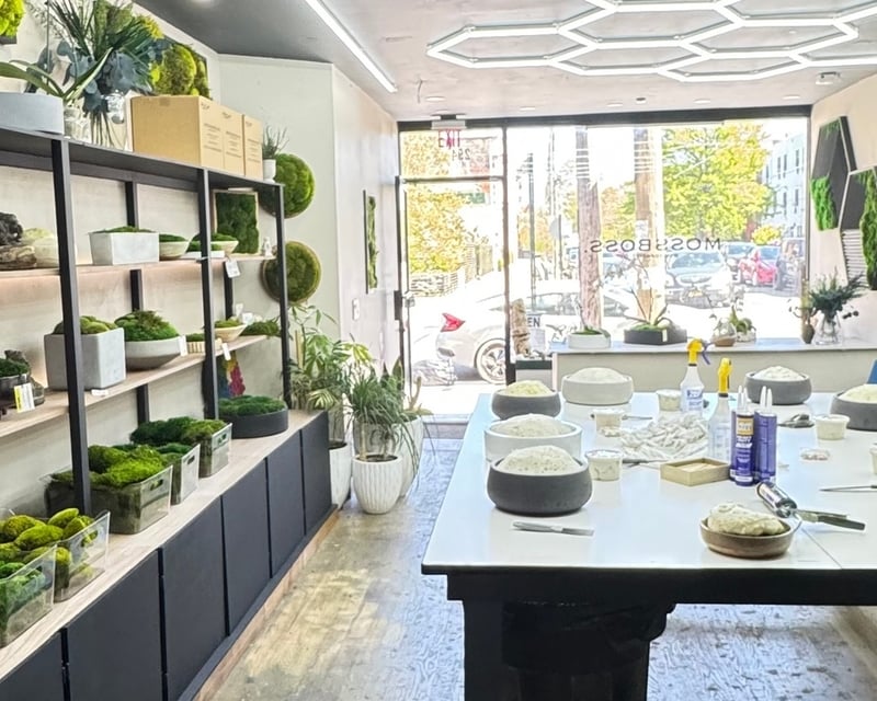Hands-On Living Moss Art Workshop in Brooklyn