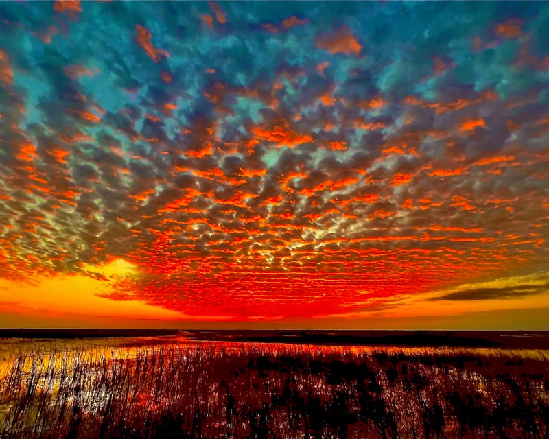 Everglades 1-Hour Private Airboat Tour