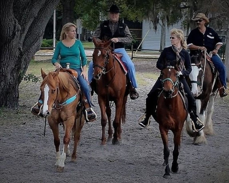 Guided Horseback Trail Ride Near St. Petersburg