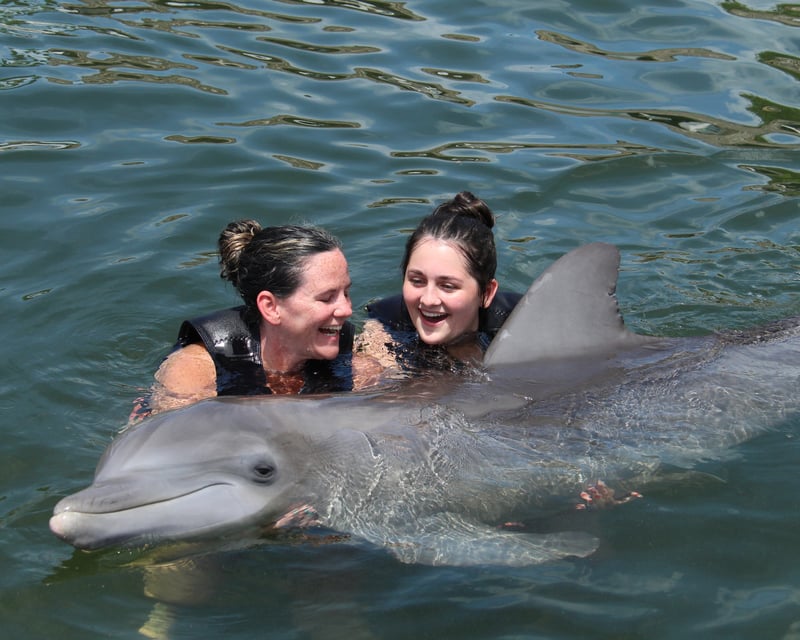 Key Largo Dolphin Swim & Conservation Program