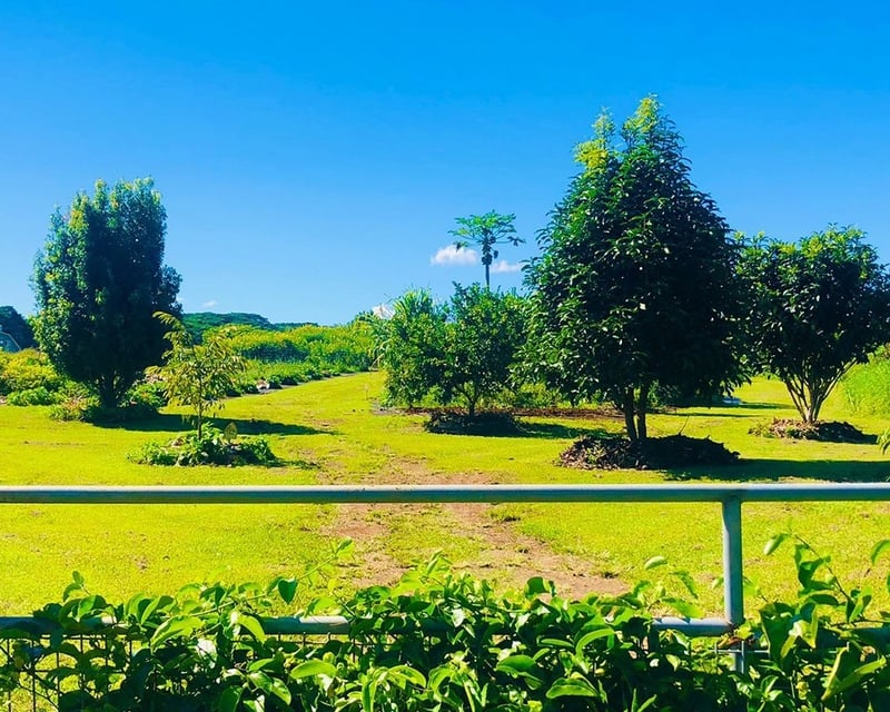 Guided 1.5-Hour Farm Tour in Hilo