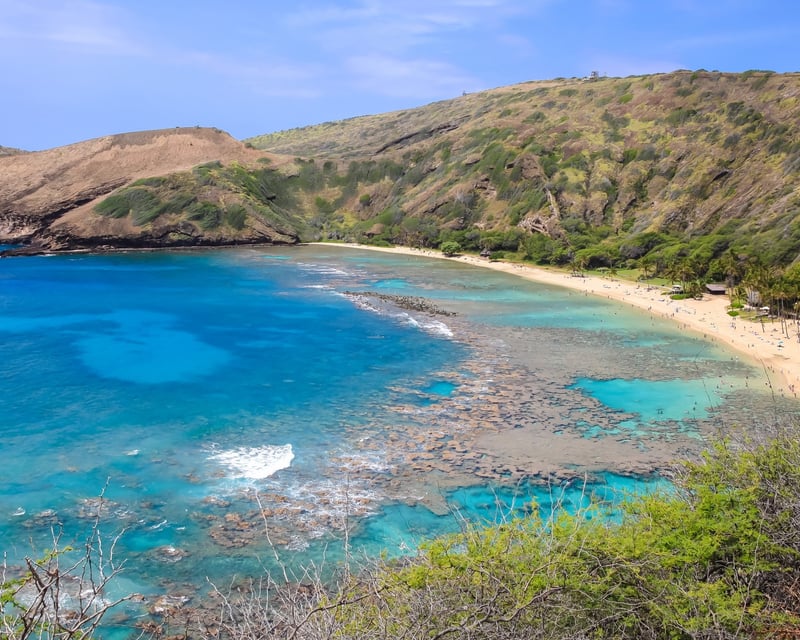 1.5-Hour Hanauma Bay Snorkel Lesson