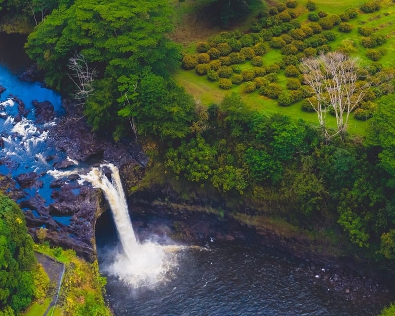 Hilo Tropical Fruit Farm Tour with Rainbow Falls Views