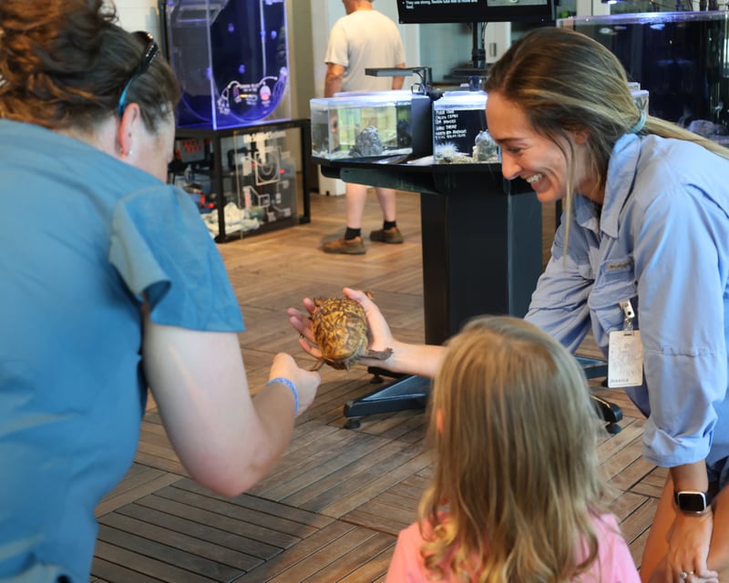 Guided Marine Science Center Gallery Tour in Tybee Island