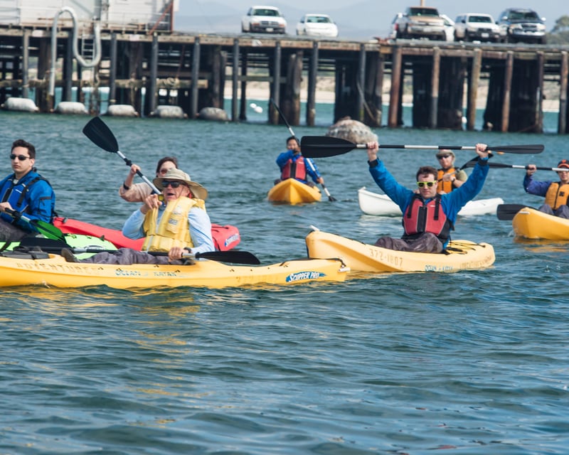 Private Monterey Harbor Kayak Tour