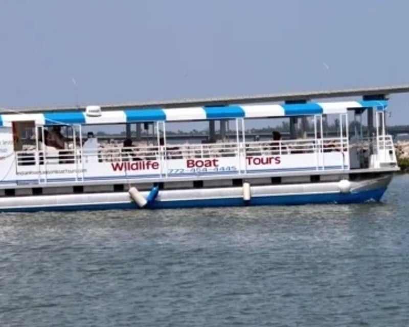 Indian River Lagoon Wildlife Boat Tour in Fort Pierce