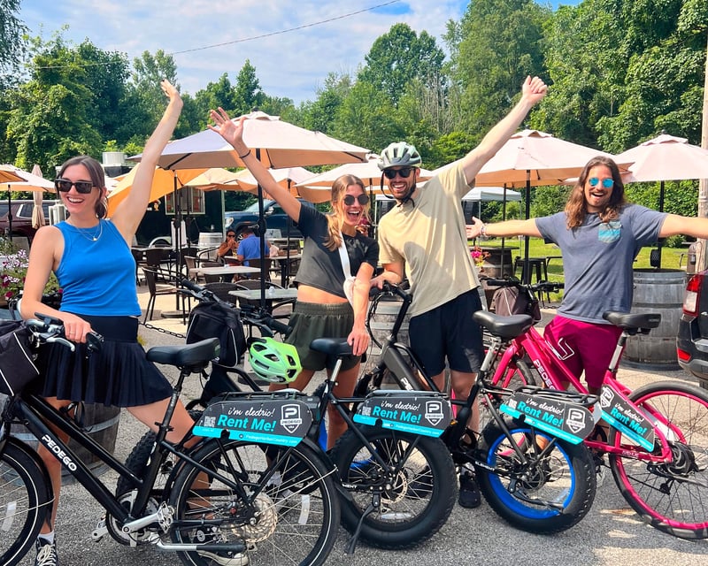 New Buffalo E-Bike Wine Tasting Tour