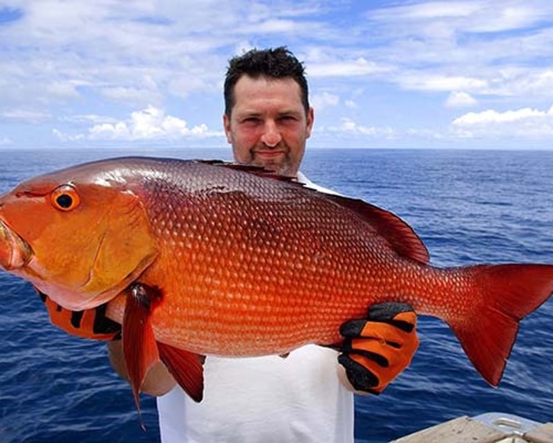 Private Gulf of Mexico Fishing Charter in Gulf Shores