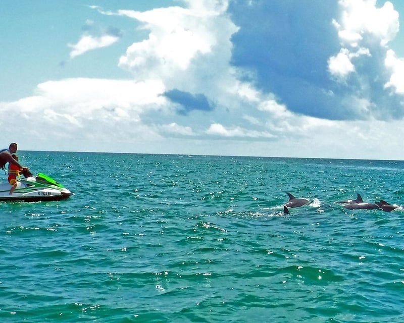 Ride a Jet Ski Dolphin Tour in Santa Rosa Sound