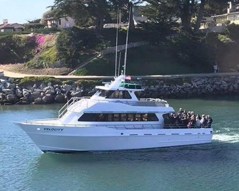 Santa Cruz 5-Hour Deep Sea Cod Fishing Trip