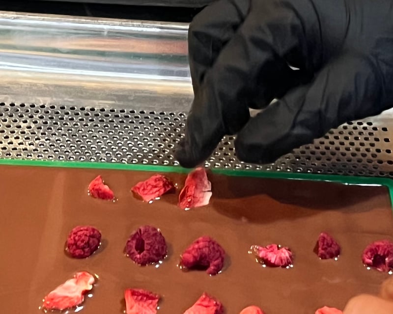 Chocolate Bark Workshop with Tray Painting in Santa Barbara