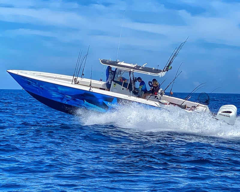 12-Hour Deep Sea Fishing Charter in Galveston