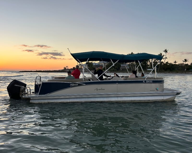 Keewaydin Island Shelling & Dolphin Tour from Naples